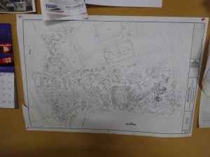 It may be a few years old, but this is a map of the park.